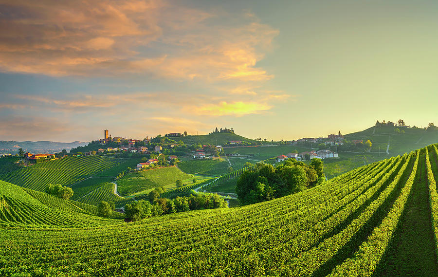 Barbaresco village and vineyards of Langhe. Italy Photograph by Stefano Orazzini