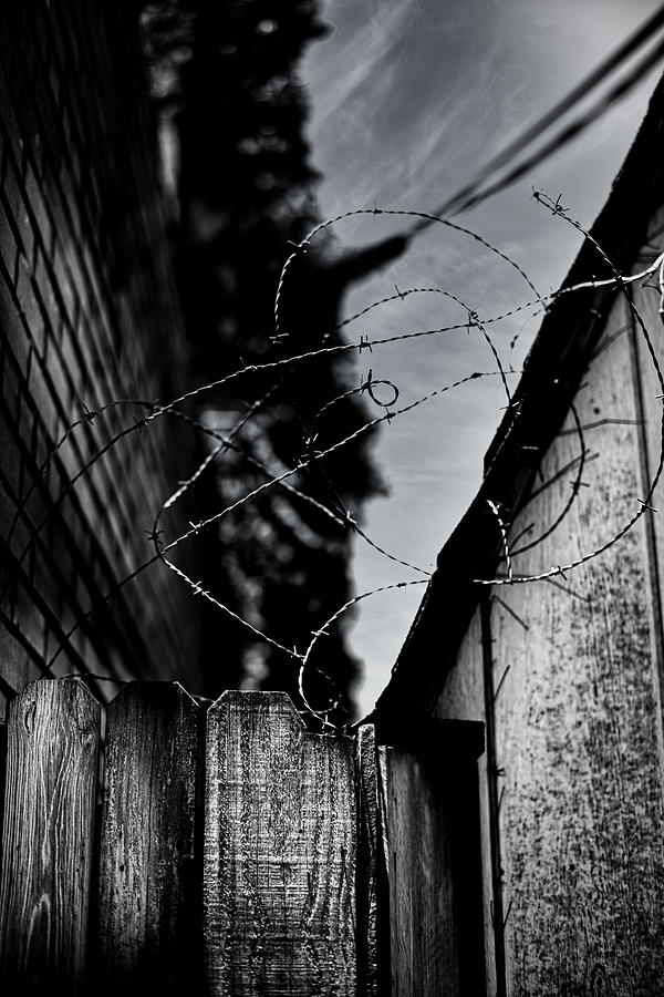 Barbed Photograph by Glen Carpenter