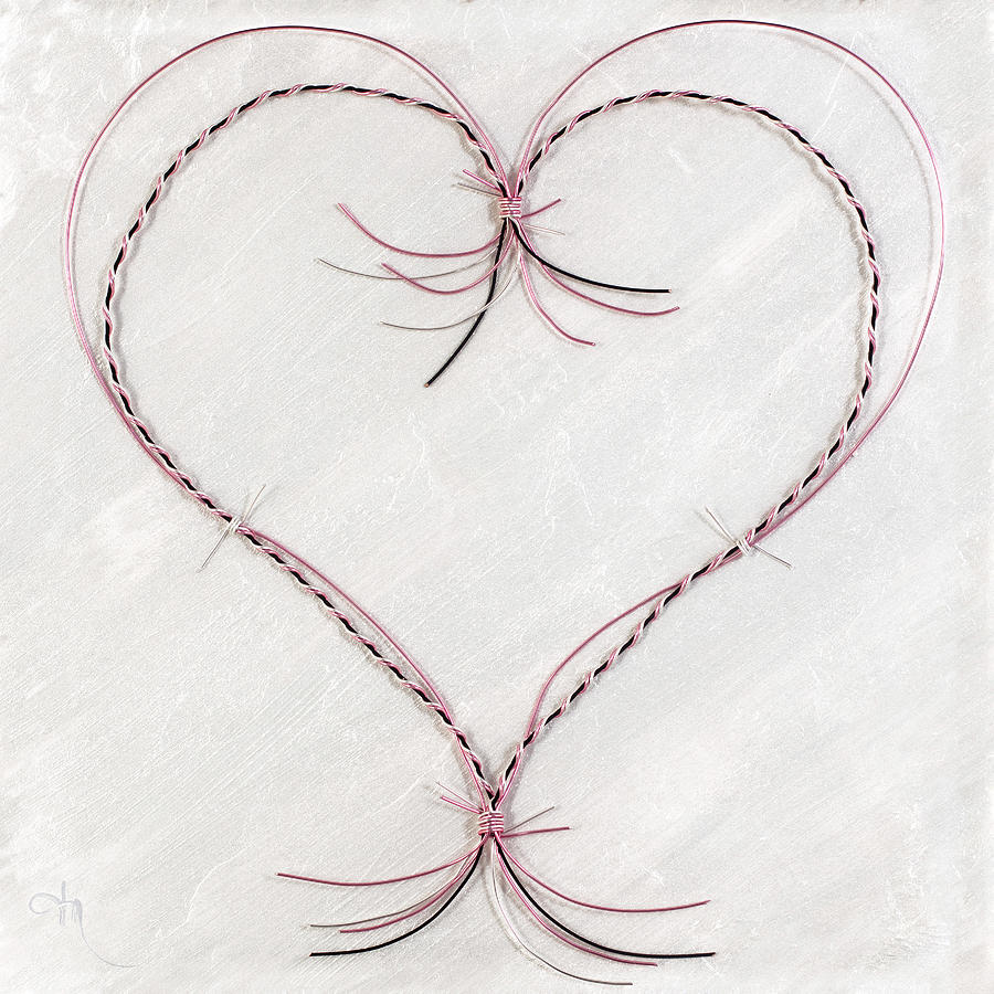 Barbed Heart-Pink on White Mixed Media by Tamara Nelson
