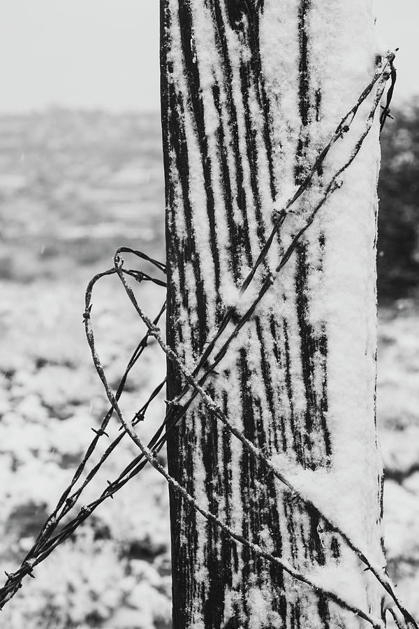 Barbed Wire and Post in Snow Photograph by Mary Lee Dereske
