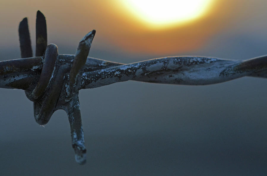 Barbed Wire at Sundown Photograph by Rich Clewell