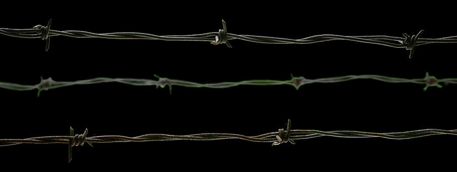 Barbed Photograph - Barbed Wire Black Background by Steve Gadomski