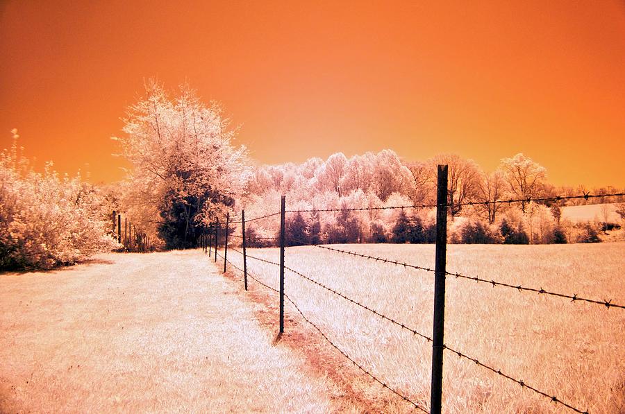 Barbed Wire Fence Photograph