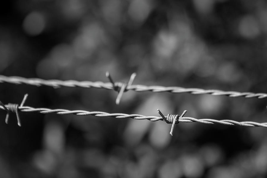 Barbed Wire Photograph by Robert Wilder Jr
