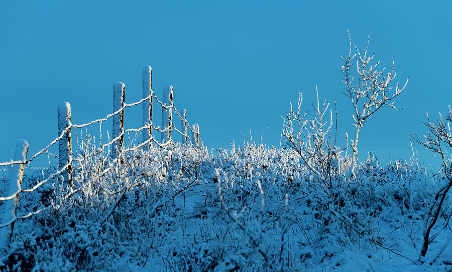 Winter Photograph - Barbed-Wire Snow and Ice by Phil And Karen Rispin