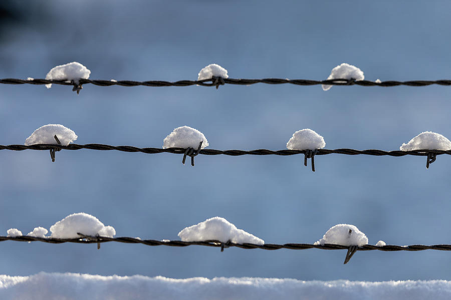 Barbed Wire Snow by Lauri Novak Barbed Wire Snow by Lauri Novak
