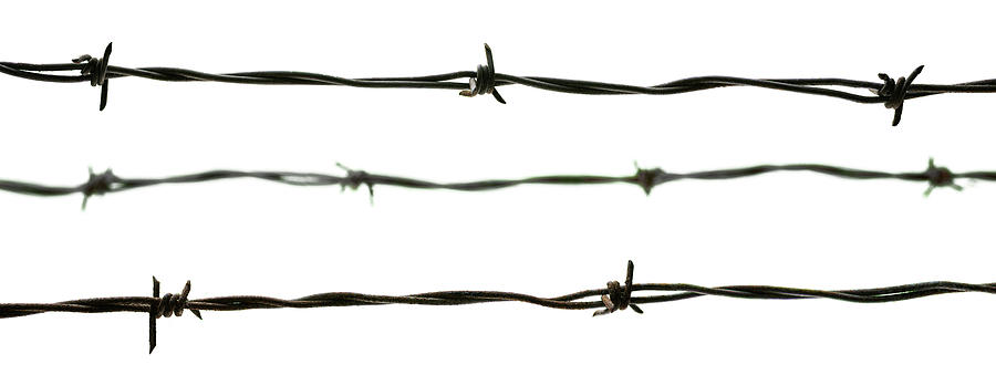 Barbed Wire White Background Photograph by Steve Gadomski - Fine Art ...