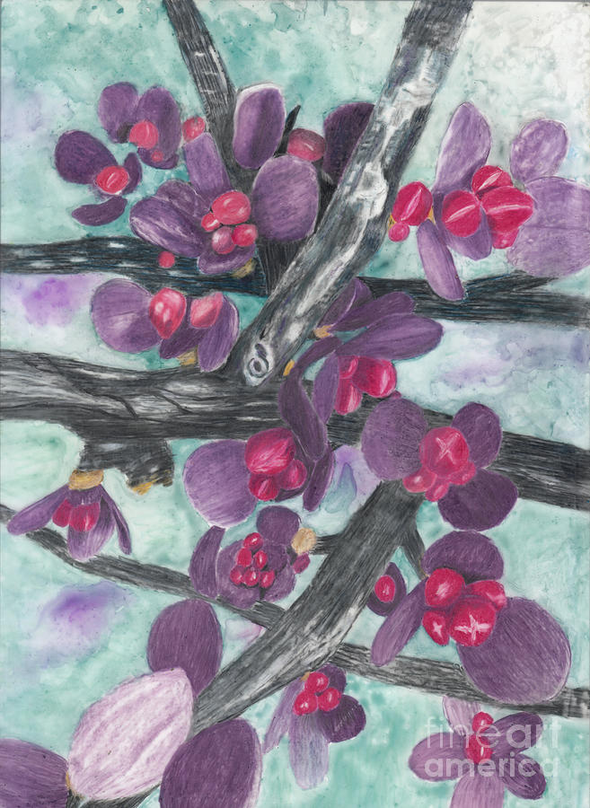 Barberry Shrub Spring Buds with Background Drawing by Conni Schaftenaar