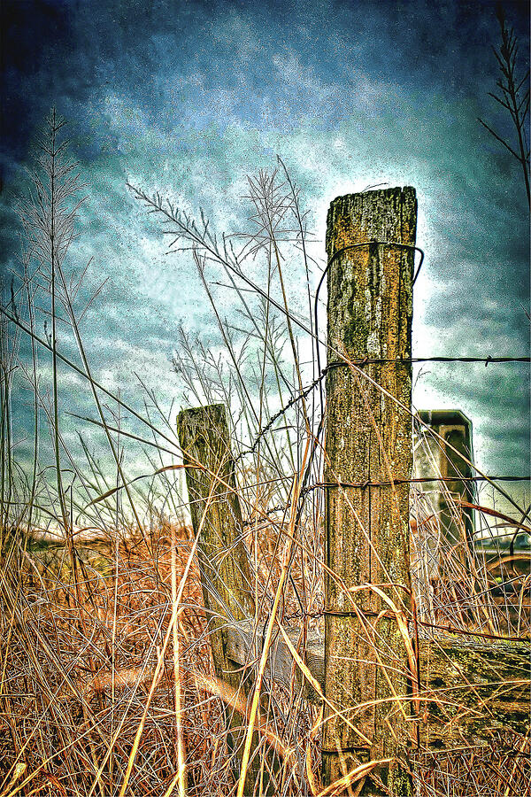 Barbwire Fences Photograph by William Havle