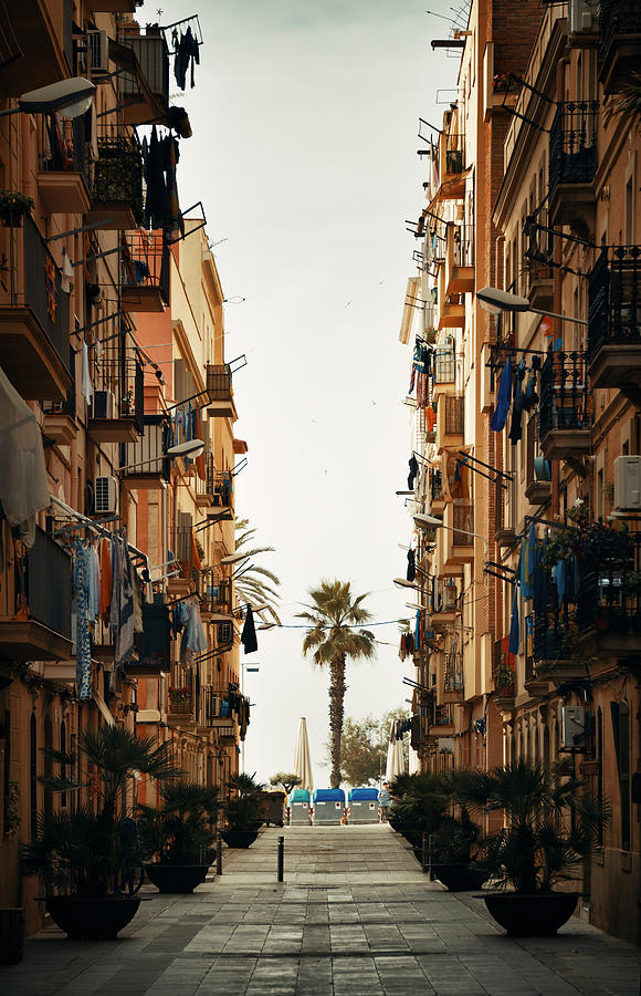 Barcelona Street view with tree Photograph by Songquan Deng