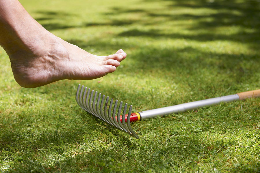 Bare foot about to step on rake Photograph by Ghislain & Marie David de Lossy