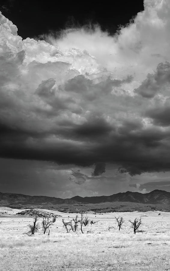 San Diego Photograph - Bare Trees and Monsoon Clouds Near Ranchita by William Dunigan