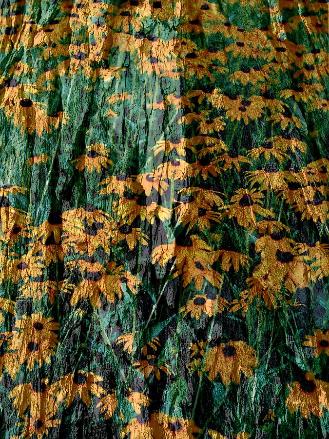 Bark Macro Floral Abstract Composition Photograph