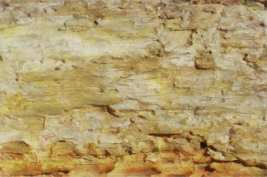 Bark Texture Mixed Media by Christopher Reed