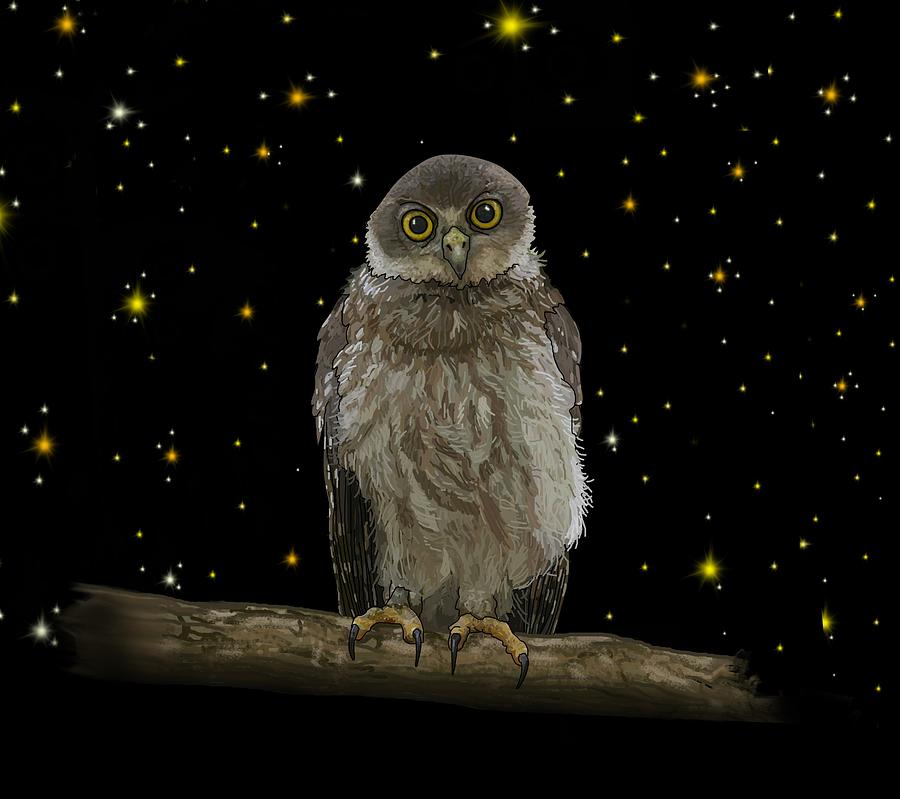 Barking Owl At Night 1 Drawing by Joan Stratton