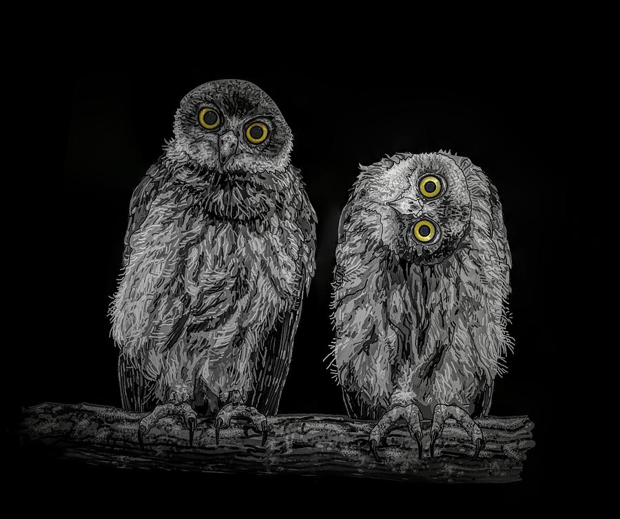Barking Owls Black And White Drawing by Joan Stratton