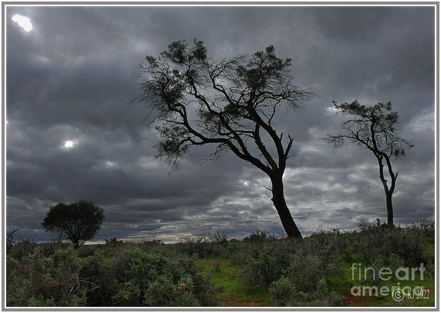 Barkly Tableland Australia Photograph by Klaus Jaritz