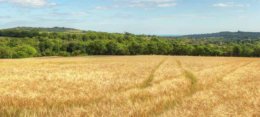 Barley Valley View Photograph by Hazy Apple
