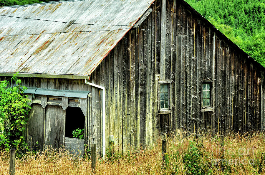 Barn 2 - Beaver - Oregon Photograph by Jack Andreasen - Fine Art America