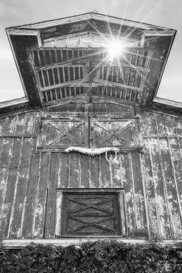 Barn and Bull Horns  BW Photograph by Susan Candelario