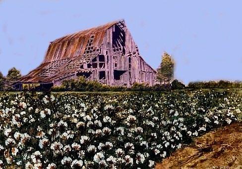 Barn and Cottonfield Painting by John Helms - Fine Art America