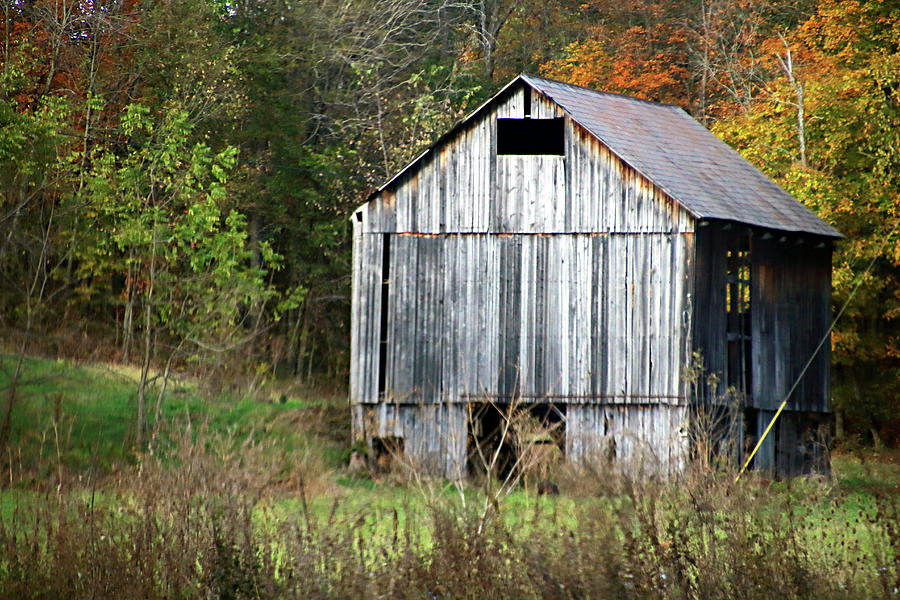 Barn and Fall Leaves Photograph by Angela Murdock