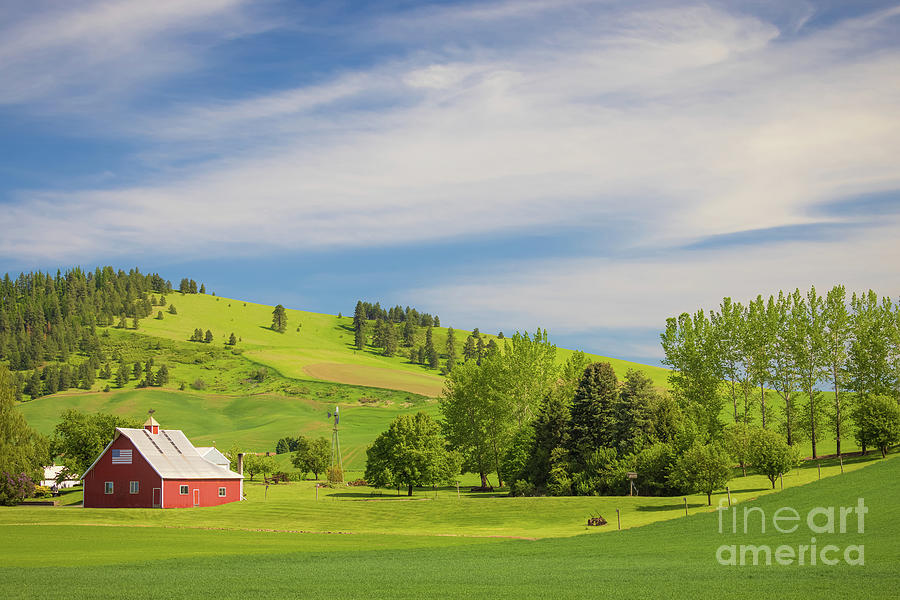 Barn and hills Photograph by Inge Johnsson