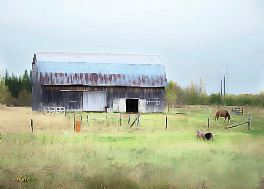 Barn and Horse Digital Art by Elaine Berger