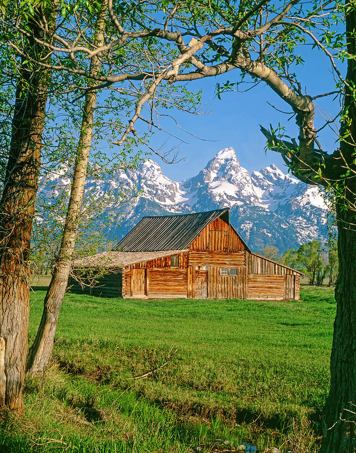 Barn and Tetons Photograph by Mark Miller