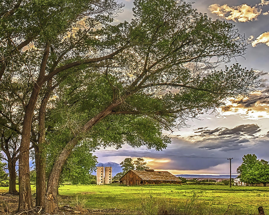 Barn And Trees Photograph by Don Schimmel