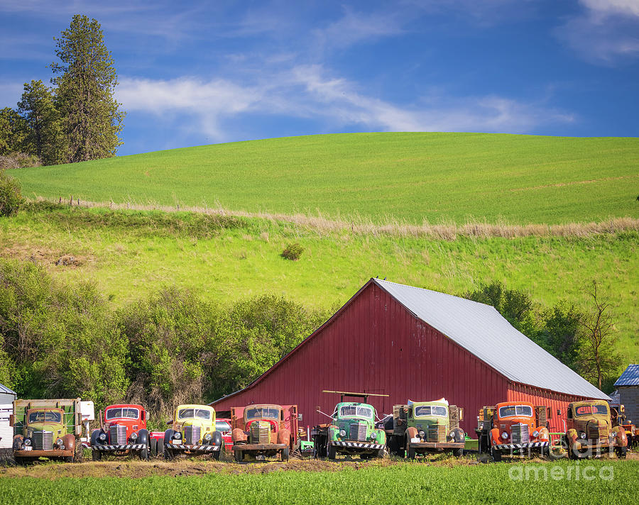 Barn and trucks Photograph by Inge Johnsson