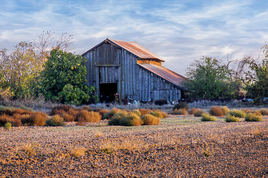 Barn And Tumbleweeds Photograph by Gene Parks