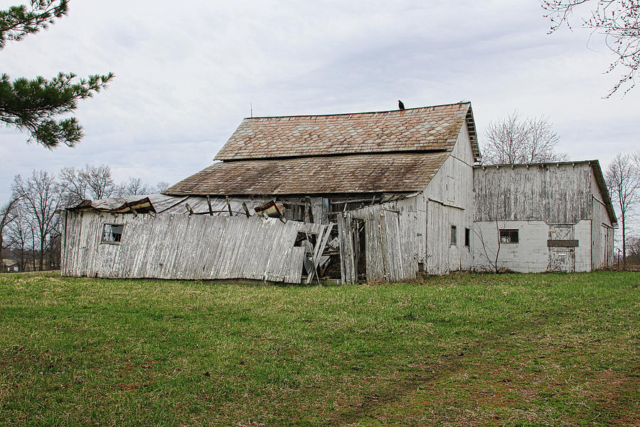 Barn And Vulture Photograph