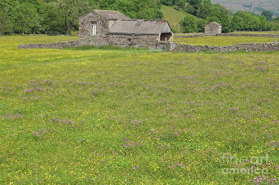 Barn And Wildflower Meadow Photograph By David Birchall   Pixels