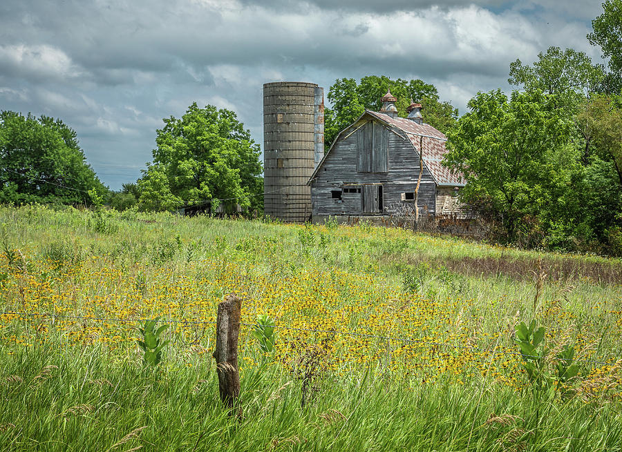 Barn And Wildflowers Photograph by Steven Bateson