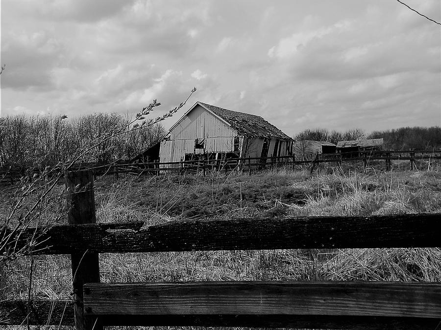 Barn at Curtis and Lincoln Photograph by Phil Strang
