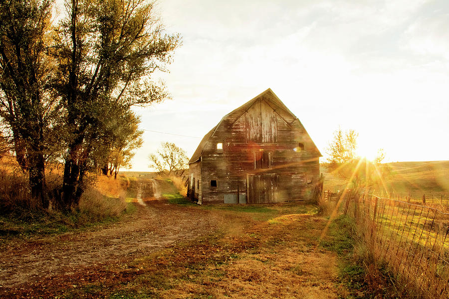 Barn at Sunrise In Nebraska Photograph by Erin Theisen - Pixels