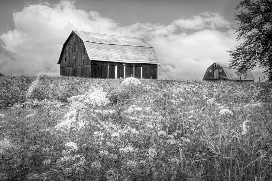 Barn at the Top of the Hill Black and White Photograph by Debra and Dave Vanderlaan