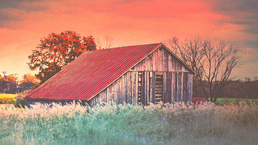 Barn at the Vineyard Photograph by Kathy Jennings