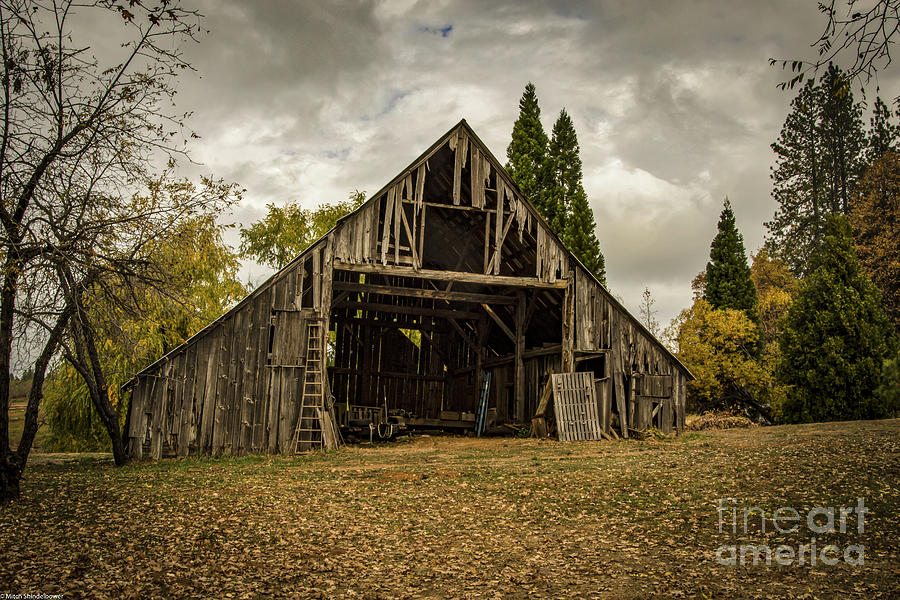 Barn Autumn Photograph by Mitch Shindelbower
