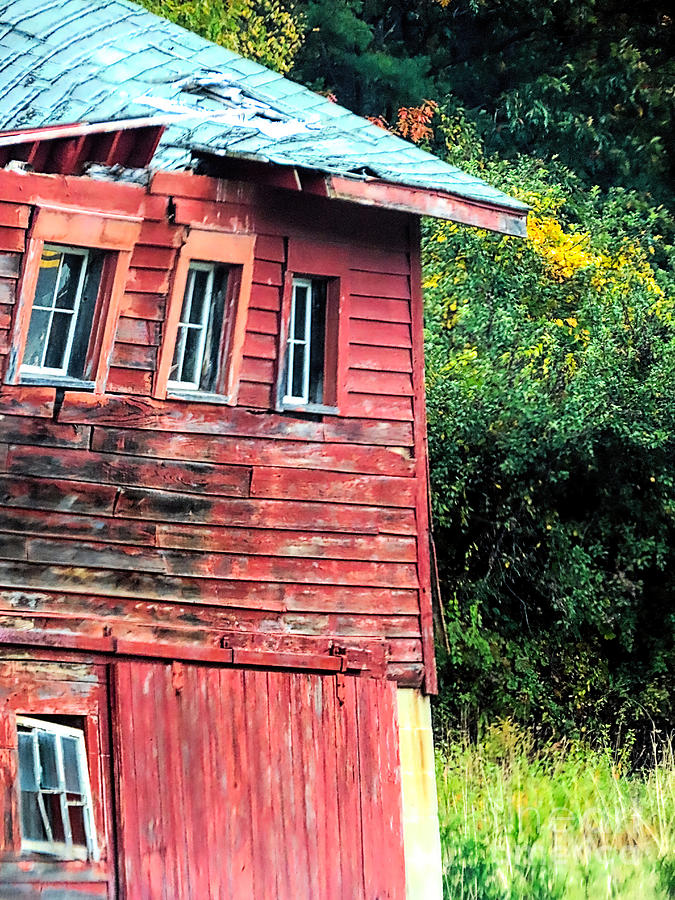 Barn beauty in disrepair  Photograph by Janice Drew