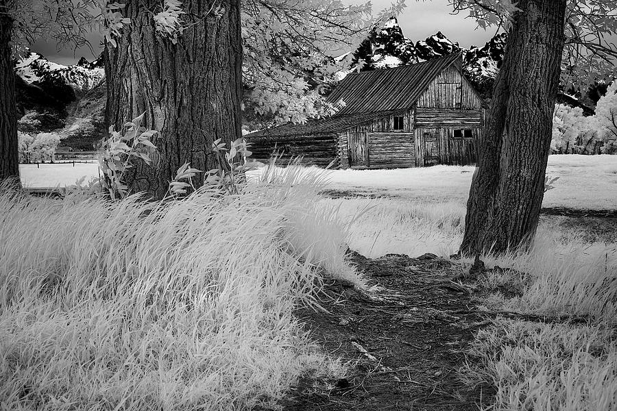 Barn Between Trees Photograph