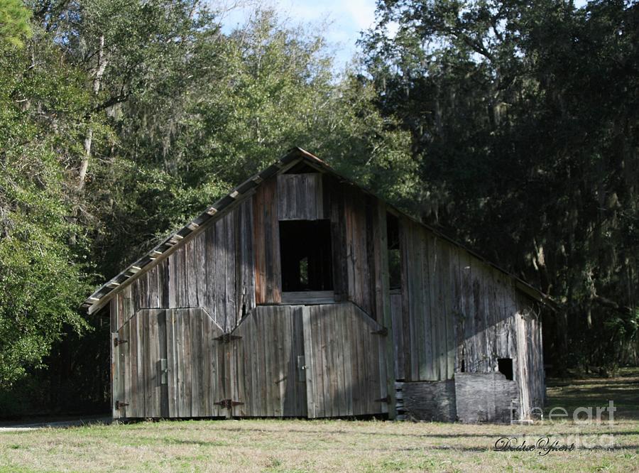 Barn Photograph by Dodie Ulery
