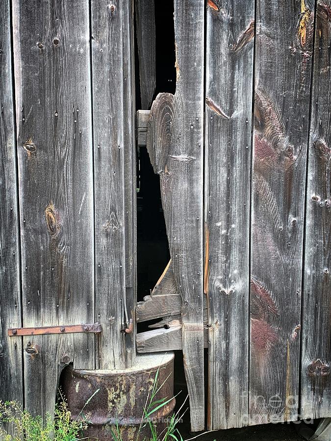 Barn Door Broken Digital Art by Dee Flouton