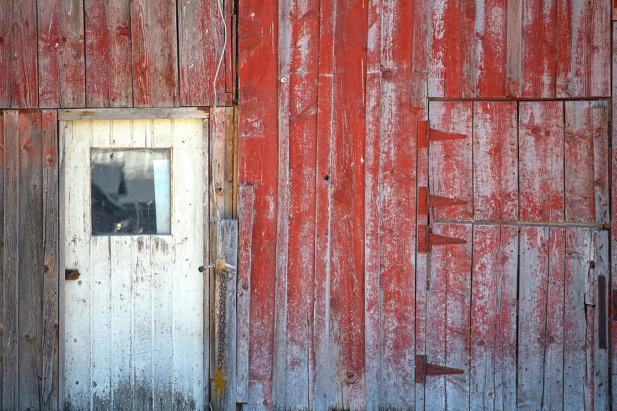 Barn Door Photograph by Dart Humeston