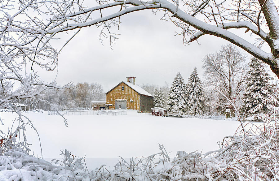Barn Framed by Trees in Snow Photograph by Betty Denise