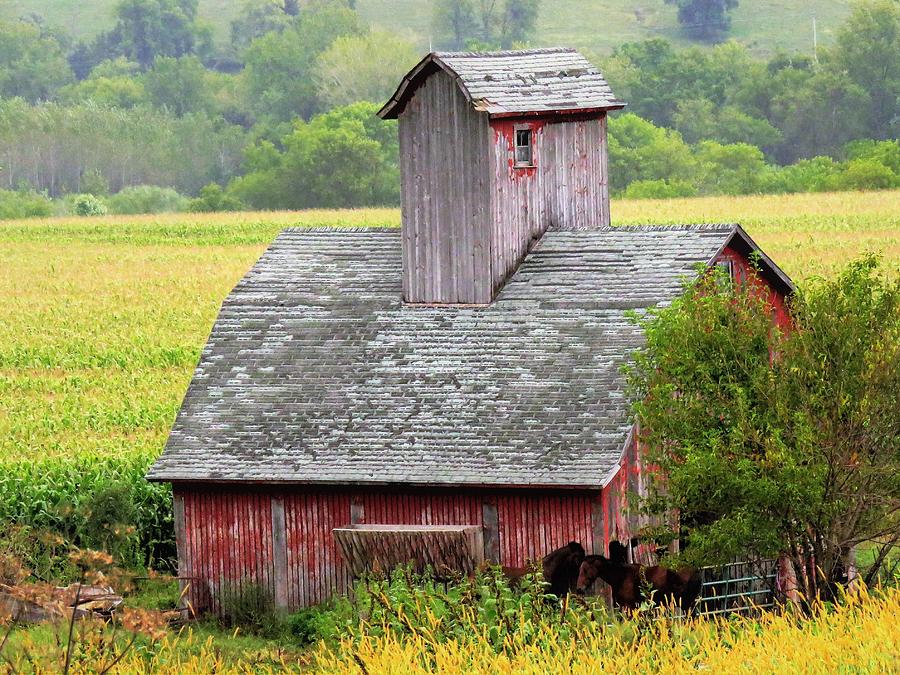 Barn From Long Ago  Photograph by Lori Frisch