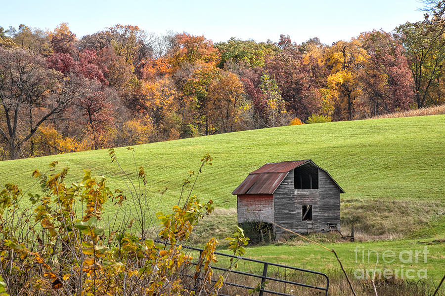 Barn in Autumn Splendor Photograph by Jan Day