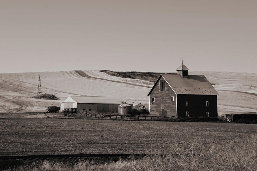 Barn Photograph - Barn in Black and White by Connie Carr