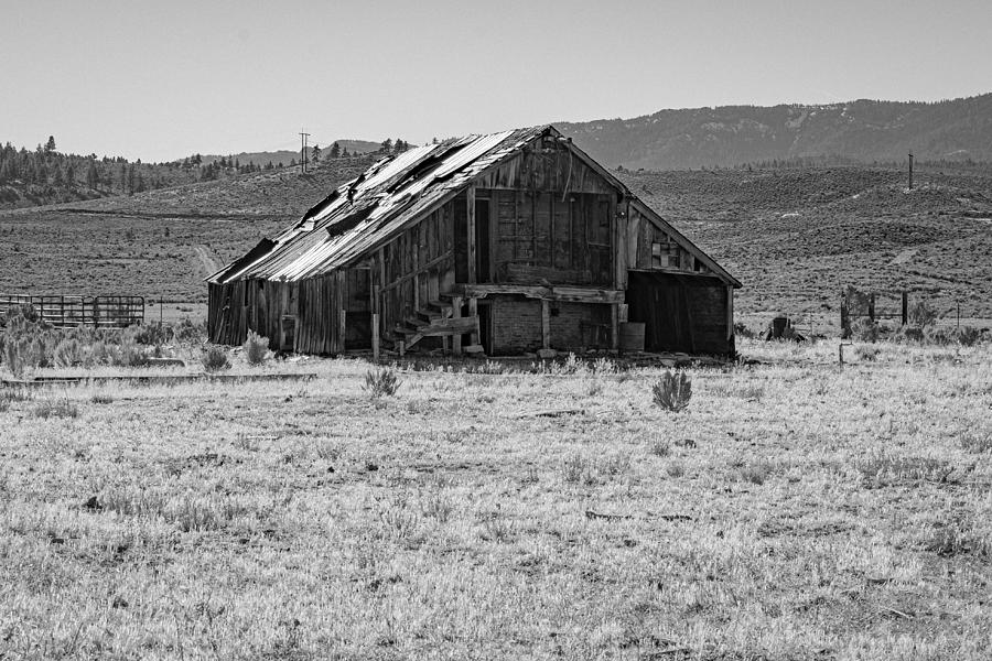 Barn in black and white Photograph by Ron Roberts